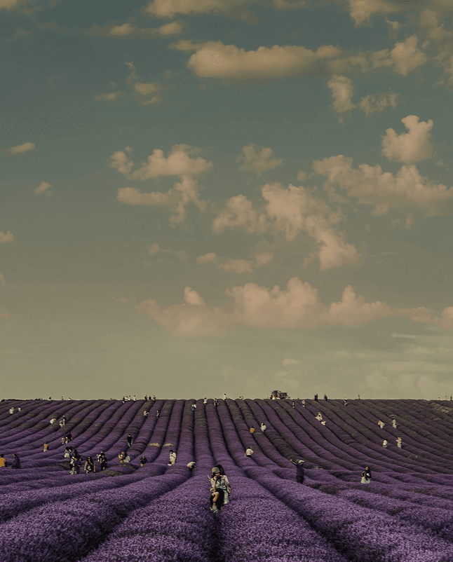 connection to see budget display